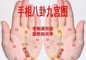 古话：手有“通天纹”，富贵自天来。